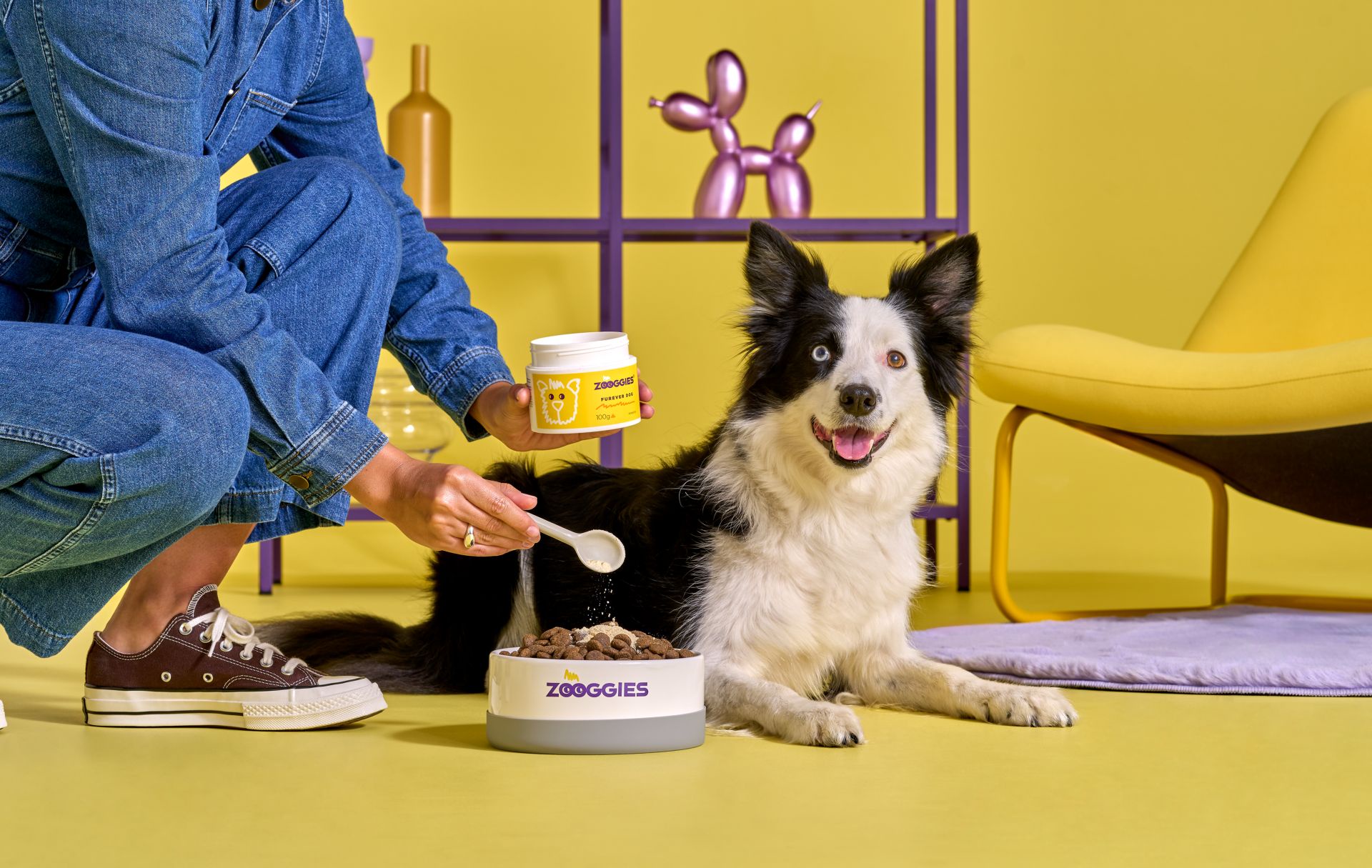 Naturalne metody wspierania zdrowia zwierząt domowych: odżywcze suplementy i ich korzyści